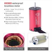 UK-Combo 1/10 ESC 80A + Brushless motor 3665   3100kV SURPASS HOBBY