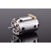 UK-RP540 13.5T 540 Sensored Brushless Motor RUDDOG