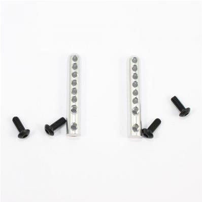 UK-Vantage/Carnage/Zorro Alum Body Post 2pcs (Use With Carbon Towers) FTX