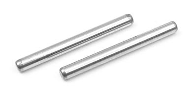UK-Front lower outer pivot pin (2) X-RAY