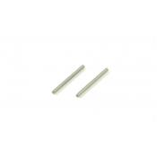 UK-Rear Hub Carrier Hing pin (2pcs) SWORKZ