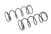 UK-FRONT SHOCK SPRING/M-HARD/BLACK GREEN (pr) AGAMA