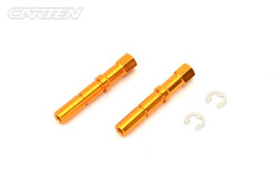 UK-Steering Post with clips (2) CARTEN