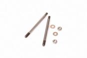 UK-Front Shock Shaft and hardware - 44mm (2pcs) For RT PR RACING