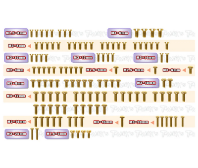 UK-Gold Plated Steel Screw Set 123pcs. ( For Team Associated RC10 B84/ B84D ) T-WORKS