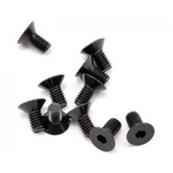 UK-FH/ST Screw M4x8mm (10) SWORKZ