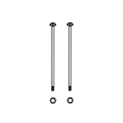 UK-RC10 FT Captured Rear Inner Hinge Pin, 58.7mm TEAM ASSOCIATED