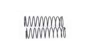 UK-Vantage/Carnage Rear Shock Spring 2pcs FTX