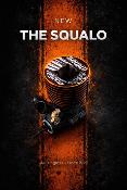 UK-Squalo DLC Off Road engine .21 Ceramic alu carburettor PICCO