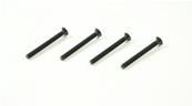UK-FH/ST HEX Screw M3x30mm (4pc) SWORKZ