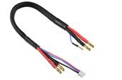 UK-Charge/Balance Lead - 4mm Bullit Connector 2S - Charger 2S XH Connector - 2mm Bullit Connector - 14 AWG ULTRA V+ Silicone Wire - 30cm - 1 pc CORALLY