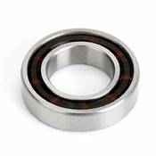 UK-Rear bearing ARGUS