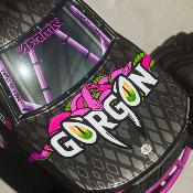 UK-1/10 GORGON 4X2 MEGA 550 Brushed Monster Truck RTR with Battery & Charger, PURPLE ARRMA