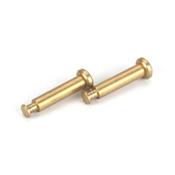UK-Hinge Pins 4 x 21mm TiN LOSI