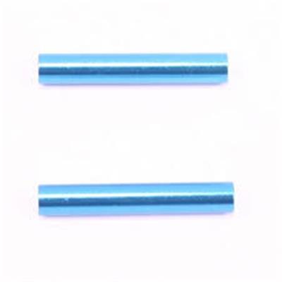 UK-Vantage/Carnage Post For Rear Spur Gear Cover 2pcs FTX