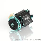 UK-Motor Brushless Crest Stocki 13.5T 1/10e CAYOTE