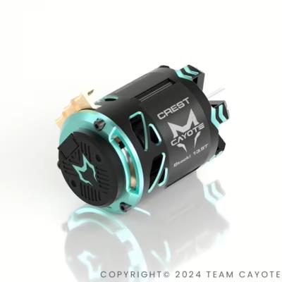 Moteurs Brushless CAYOTE 1/10e et 1/8E