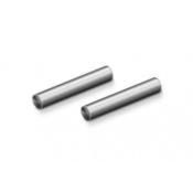 UK-Titanium Pin 3x20 (2) X-RAY