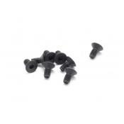 UK-FH/ST HEX Screw M2x4mm (10) SWORKZ