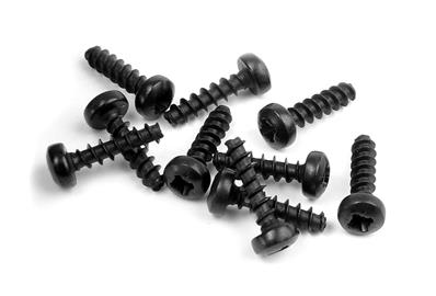 UK-Screw Phillips 2.5x10 (10) X-RAY