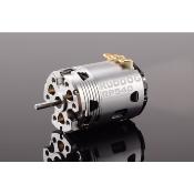 UK-RP540 13.5T 540 Fixed Timing Sensored Brushless Motor RUDDOG