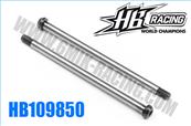 UK-Hinge pin set (rear outer 2pcs) HB RACING