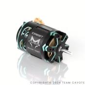 UK-Motor Brushless Crest Stocki 13.5T 1/10e CAYOTE