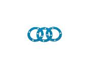 UK-Center Big Bore Plastic Diff. Case Gasket Asbestos free Blue (0,4mm) (3pc) SWORKZ