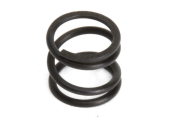 UK-Servo saver spring AGAMA (1)